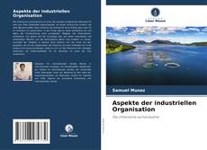 Borítókép a  Aspekte der industriellen Organisation - hoz