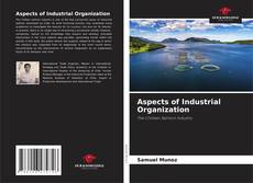 Buchcover von Aspects of Industrial Organization
