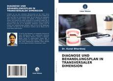 Bookcover of DIAGNOSE UND BEHANDLUNGSPLAN IN TRANSVERSALER DIMENSION