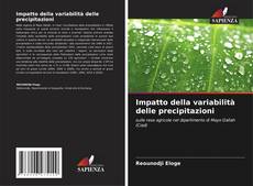 Capa do livro de Impatto della variabilità delle precipitazioni 