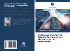 Обложка Organisationsanalyse Colegio Patria aus der Perspektive der Komplexität