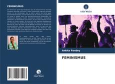 FEMINISMUS的封面