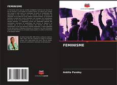 FEMINISME kitap kapağı