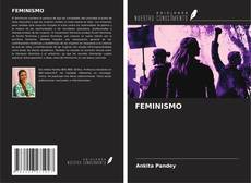 Capa do livro de FEMINISMO 