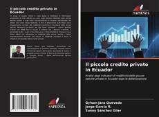 Portada del libro de Il piccolo credito privato in Ecuador