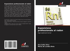 Portada del libro de Esposizione professionale al radon
