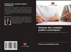 Buchcover von Analyse des comptes publics municipaux