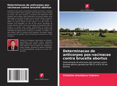 Bookcover of Determinacao de anticorpos pos-vacinacao contra brucella abortus