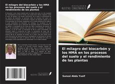 Couverture de El milagro del biocarbón y los HMA en los procesos del suelo y el rendimiento de las plantas