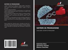 SISTEMI DI PRODUZIONE的封面