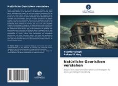 Bookcover of Natürliche Georisiken verstehen