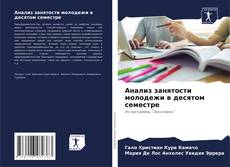 Bookcover of Анализ занятости молодежи в десятом семестре
