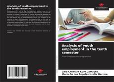 Capa do livro de Analysis of youth employment in the tenth semester 
