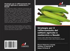Capa do livro de Strategie per il rafforzamento del settore agricolo e zootecnico a Baudó 