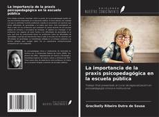 La importancia de la praxis psicopedagógica en la escuela pública kitap kapağı