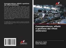 Bookcover of Consapevolezza, effetti e gestione dei rifiuti elettronici