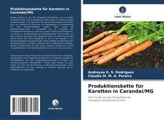 Copertina di Produktionskette für Karotten in Carandaí/MG