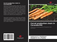 Bookcover of Carrot production chain in Carandaí/MG