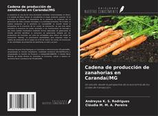 Portada del libro de Cadena de producción de zanahorias en Carandaí/MG