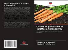 Chaîne de production de carottes à Carandaí/MG kitap kapağı