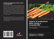 Buchcover von Catena di produzione della carota a Carandaí/MG
