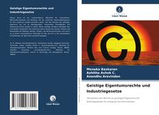 Portada del libro de Geistige Eigentumsrechte und Industriegesetze