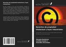 Derechos de propiedad intelectual y leyes industriales kitap kapağı