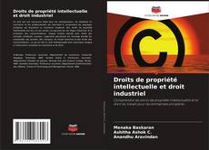 Bookcover of Droits de propriété intellectuelle et droit industriel
