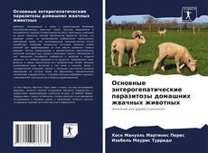 Обложка Основные энтерогепатические паразитозы домашних жвачных животных