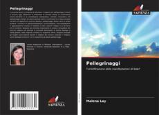 Capa do livro de Pellegrinaggi 