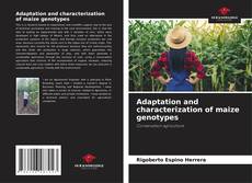Capa do livro de Adaptation and characterization of maize genotypes 