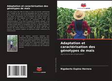 Bookcover of Adaptation et caractérisation des génotypes de maïs