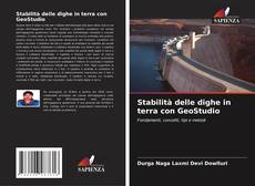 Copertina di Stabilità delle dighe in terra con GeoStudio