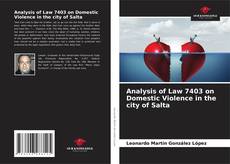 Buchcover von Analysis of Law 7403 on Domestic Violence in the city of Salta