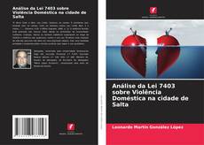 Capa do livro de Análise da Lei 7403 sobre Violência Doméstica na cidade de Salta 