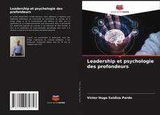 Leadership et psychologie des profondeurs kitap kapağı