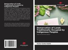 Bookcover of Demarcation of Lands Traditionally Occupied by Indigenous Peoples