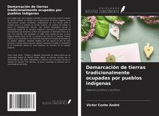 Bookcover of Demarcación de tierras tradicionalmente ocupadas por pueblos indígenas