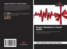Bookcover of Organ donation in brain death