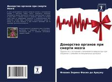Bookcover of Донорство органов при смерти мозга