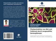 Copertina di Phytoextraktion von Blei und Cadmium durch ausgewählte Gartenpflanzen