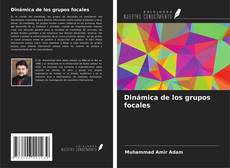 Bookcover of Dinámica de los grupos focales