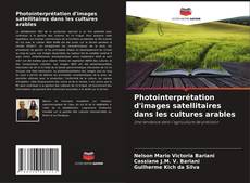 Buchcover von Photointerprétation d'images satellitaires dans les cultures arables