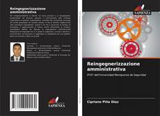 Bookcover of Reingegnerizzazione amministrativa