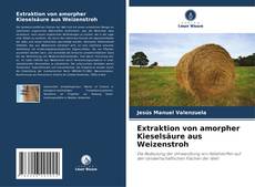 Buchcover von Extraktion von amorpher Kieselsäure aus Weizenstroh