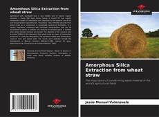 Portada del libro de Amorphous Silica Extraction from wheat straw