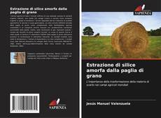 Bookcover of Estrazione di silice amorfa dalla paglia di grano