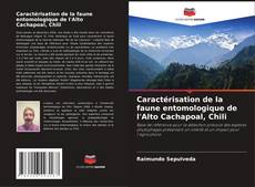 Caractérisation de la faune entomologique de l'Alto Cachapoal, Chili kitap kapağı