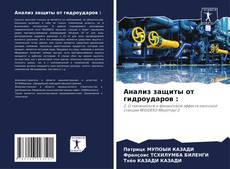 Bookcover of Анализ защиты от гидроударов :