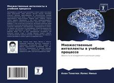 Bookcover of Множественные интеллекты в учебном процессе